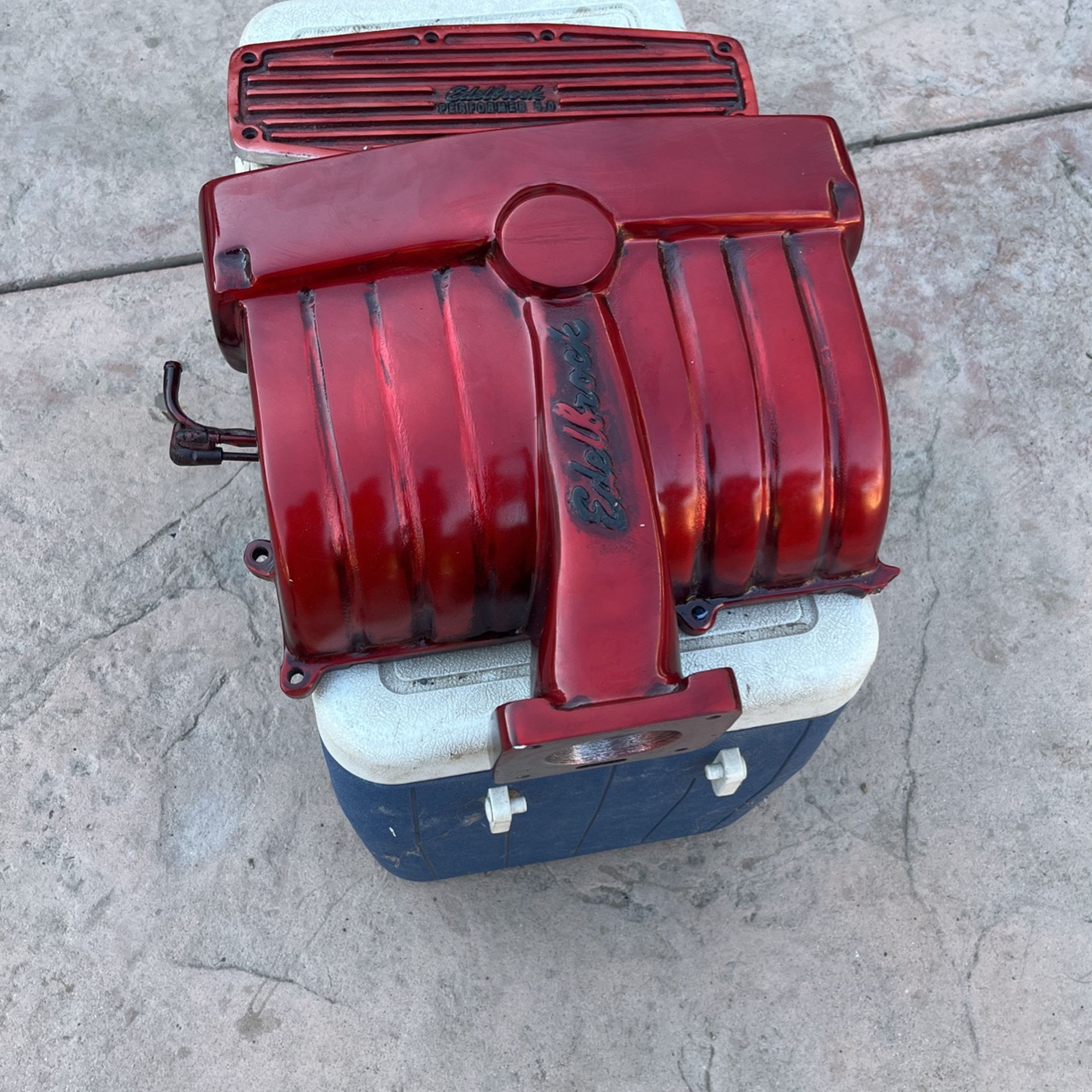 Fox Body Parts