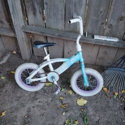 Free Bike for girls