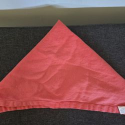 Cloth Napkins (Coral) & Teal Chair Ties