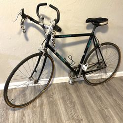 Trek Aluminum Road Bike 