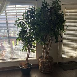 2 Artificial Trees  $75 