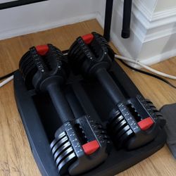 Weights 