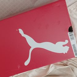 Puma 