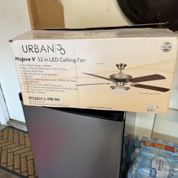 Celling Fan 