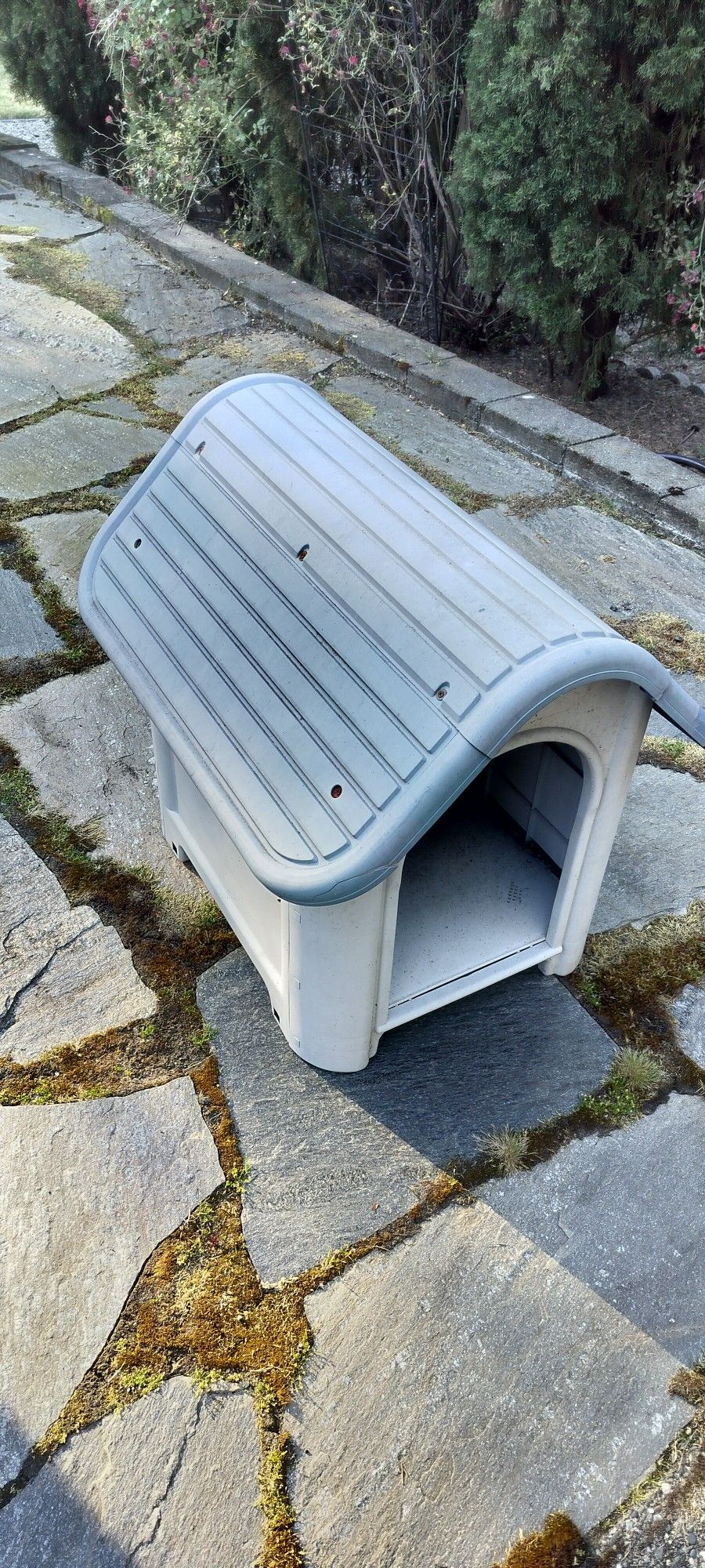 Plastic Dog House