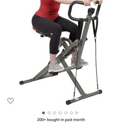 Sunny Health Row N Ride