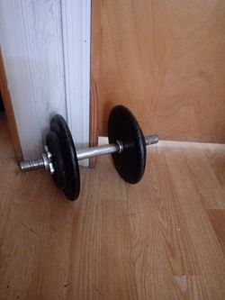 Golds gym weight plates and bar