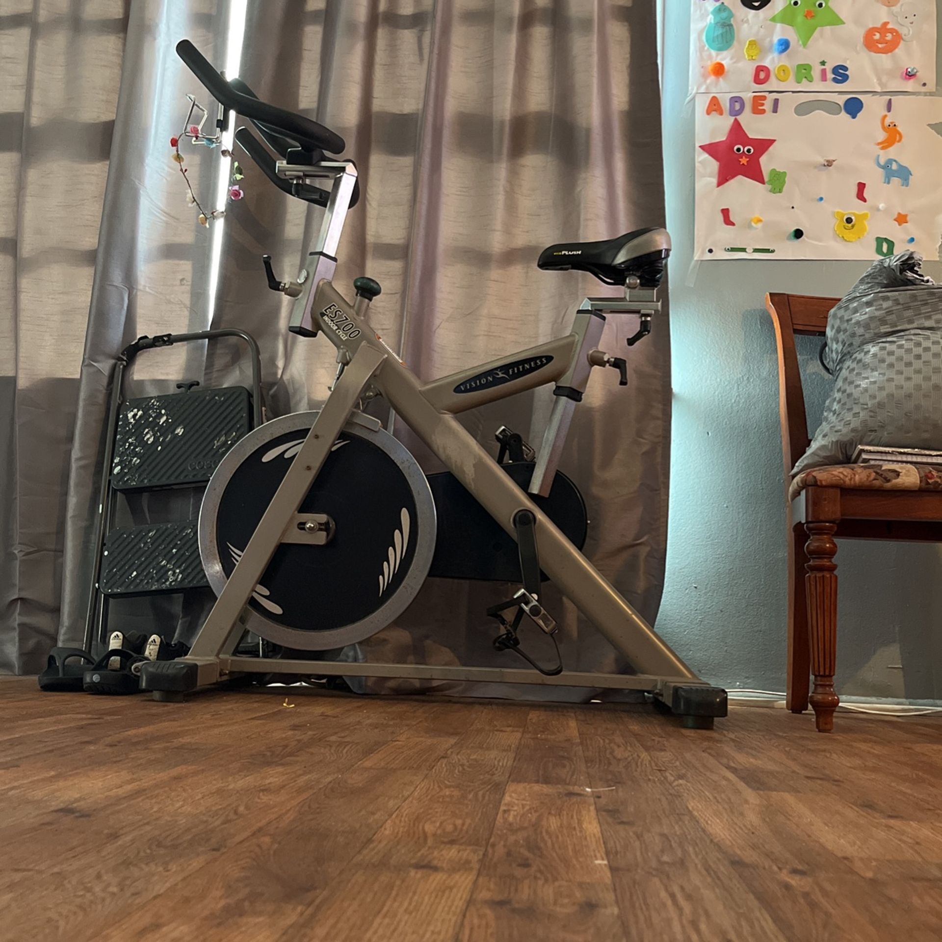 Vision fitness es700 2025