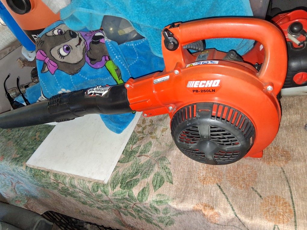 Echo Blower Working