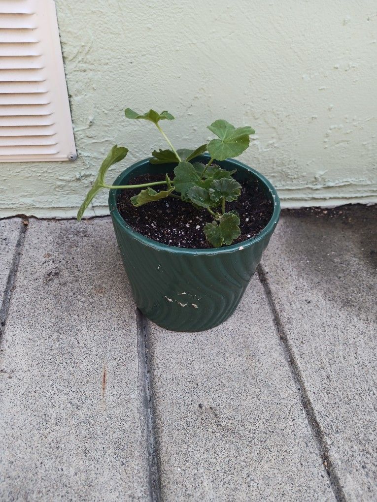 Small GREEN: UPDATE