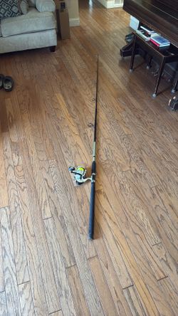 Spinning rod