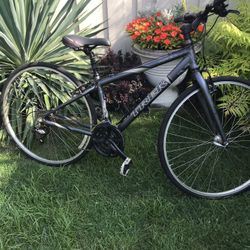 Trek Hybrid 