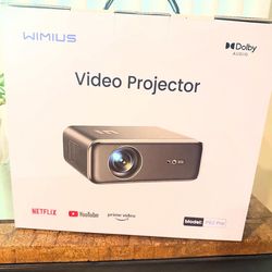 Video projector