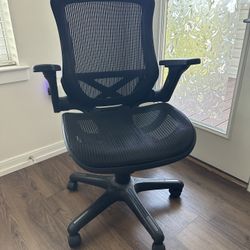 Computer Chair (2 In Stock)