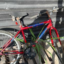 3 Adult 10 Speed Bicycles, 1 Kids