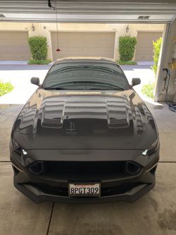 Mustang gt hood