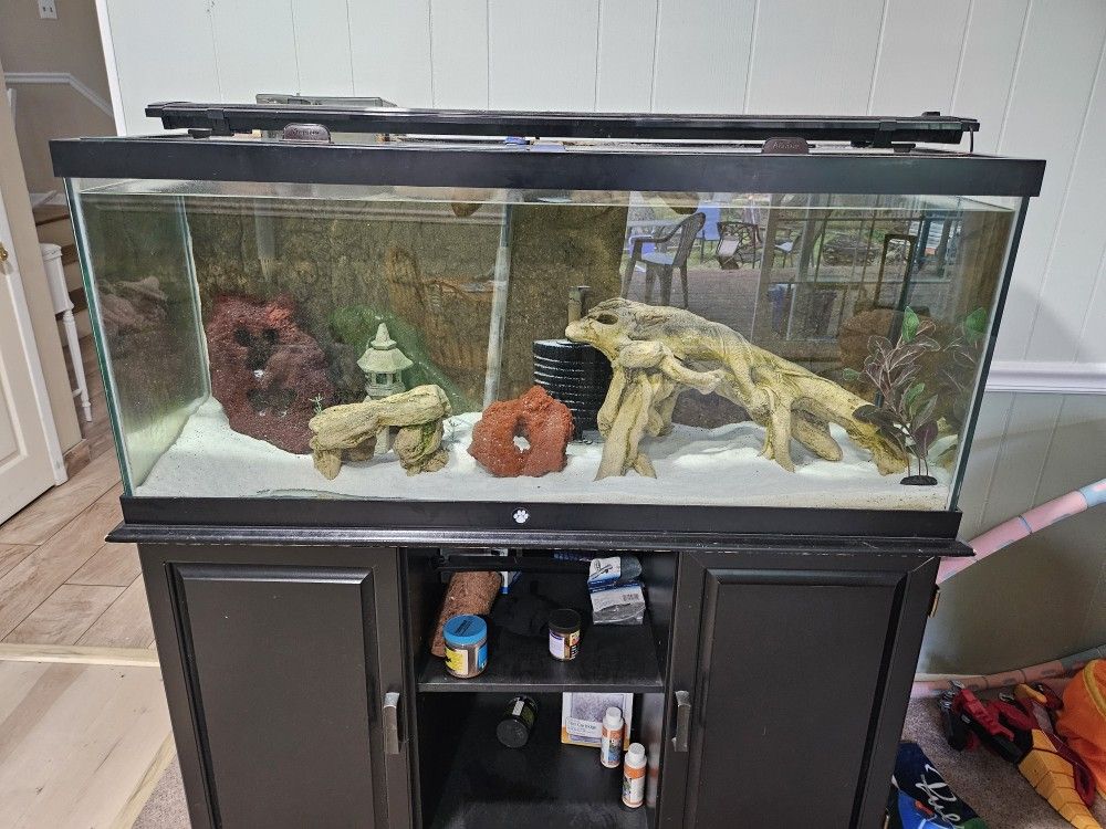 75 Gallon Aquarium 