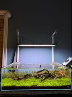 TWINSTAR S Series IV/Aquarium Light/Aquascape/Fish/UNS
