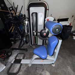 Back extension machine nautilus