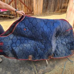 Horse Blanket- Quilted