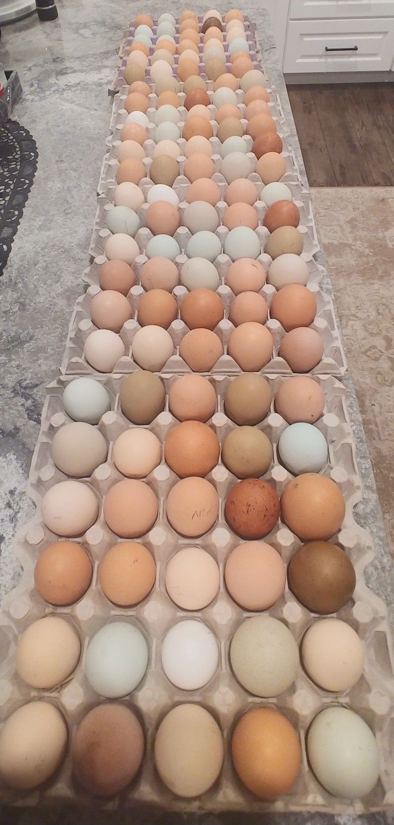 Hatching EGGS