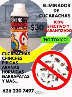 💯% Efectivo Eliminador