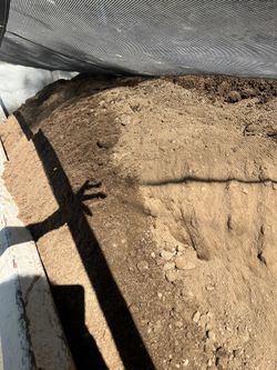 Free Clean Dirt