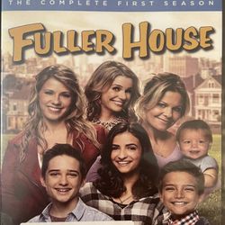 Netflix FULLER HOUSE The Complete 1st Season (DVD-2016) Candace Cameron!