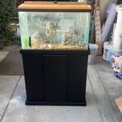 Fish Tank 