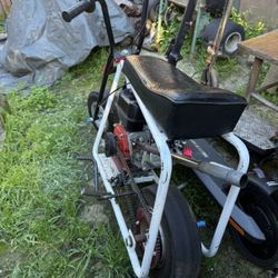 Adult Minibike