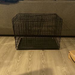 Kennel