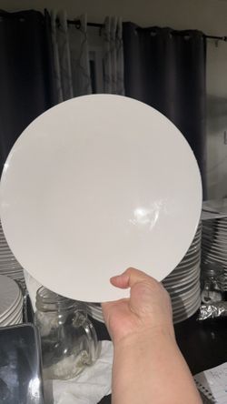 Dinner Plates