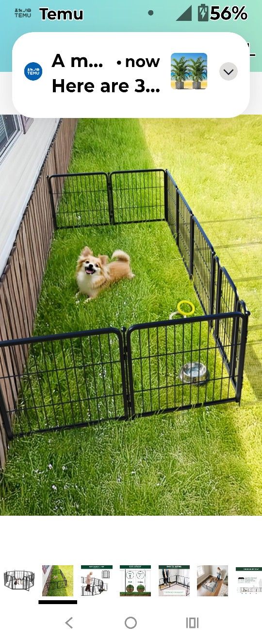Dog Fence 42' High