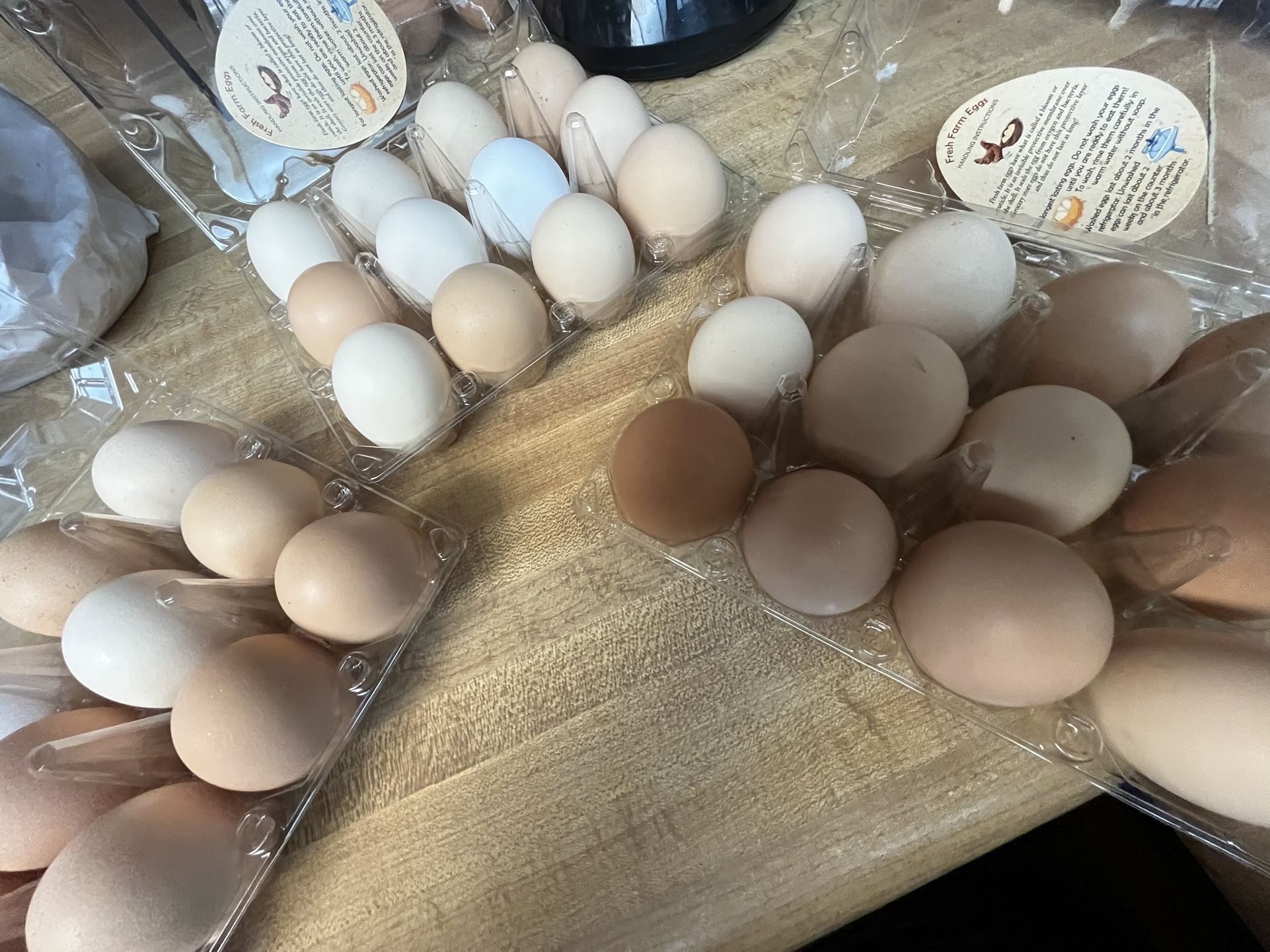 Chicken Eggs