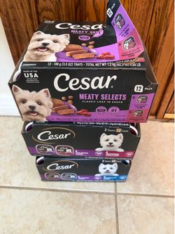 Cesar Wet Dog Food