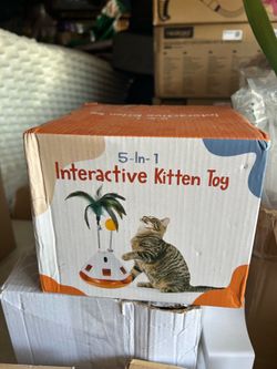 Cat toy