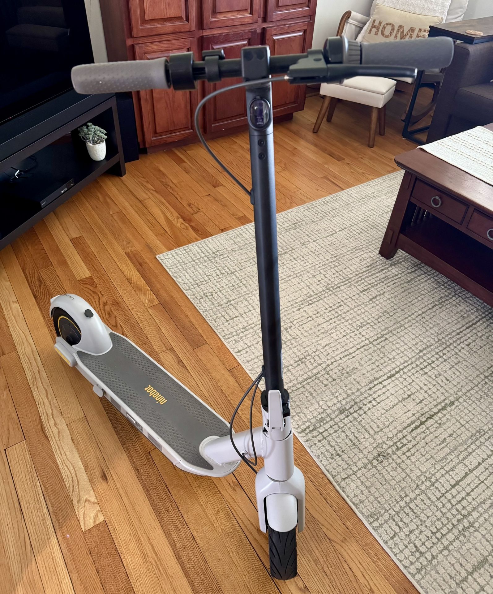 Segway Ninebot Max Electric Scooter