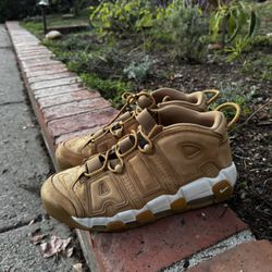 Nike Air more Uptempo Wheat 