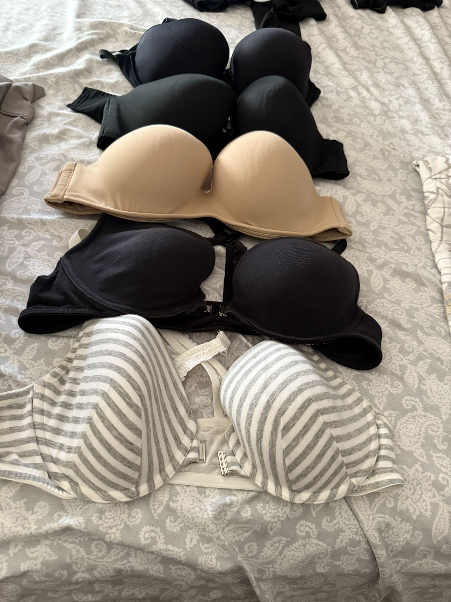 Lane Bryant & torrid bras