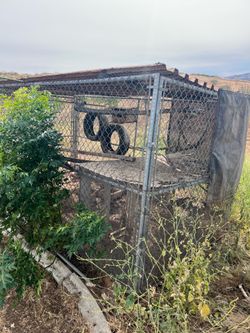 Cages for Sale