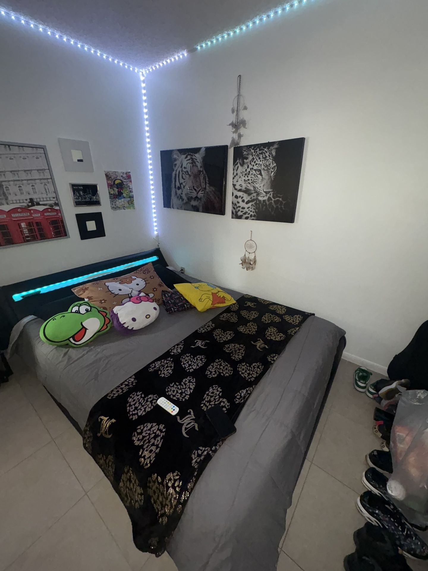 Bed Frame Only With Led Light Control
