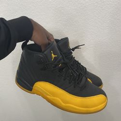 Jordan 12 University Gold Size 8.5 Men