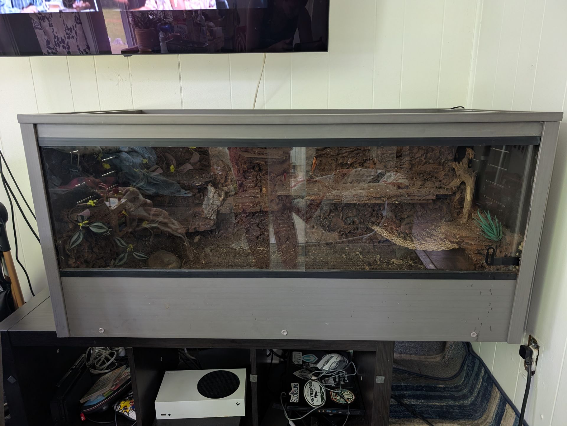 Customized reptile tank