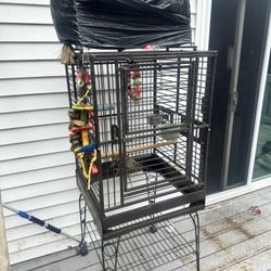 Bird Cage