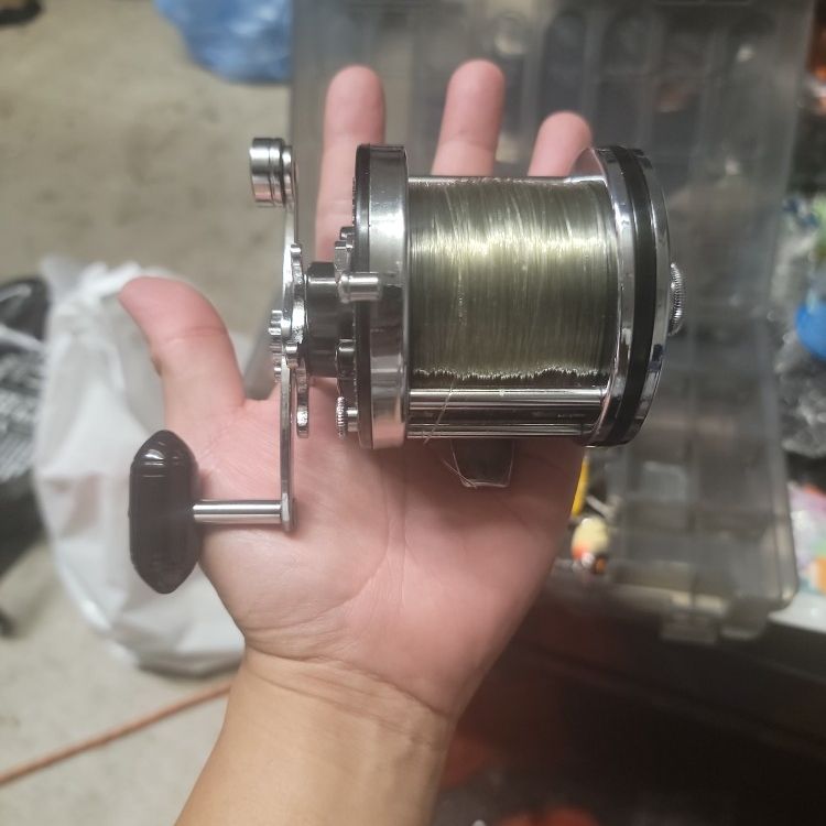 Vintage Penn Reels Squdder Jr. 146L