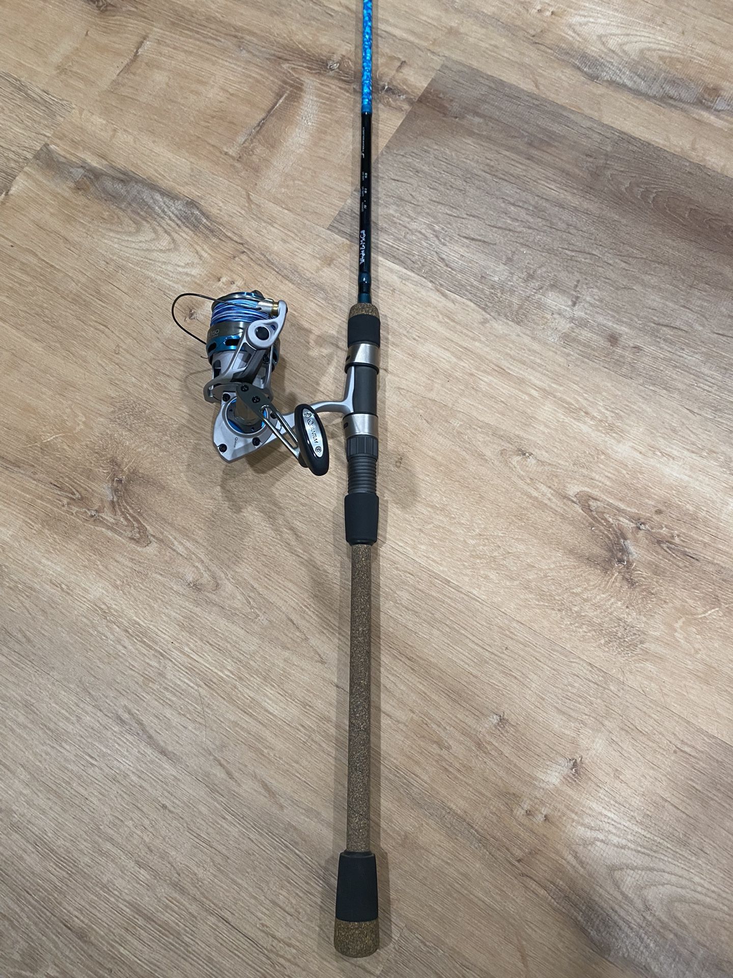 Quantum Cabo 50 Reel And Blair Wiggins Surf Rod 