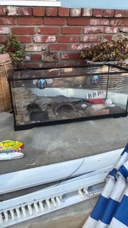 20 gallon tank