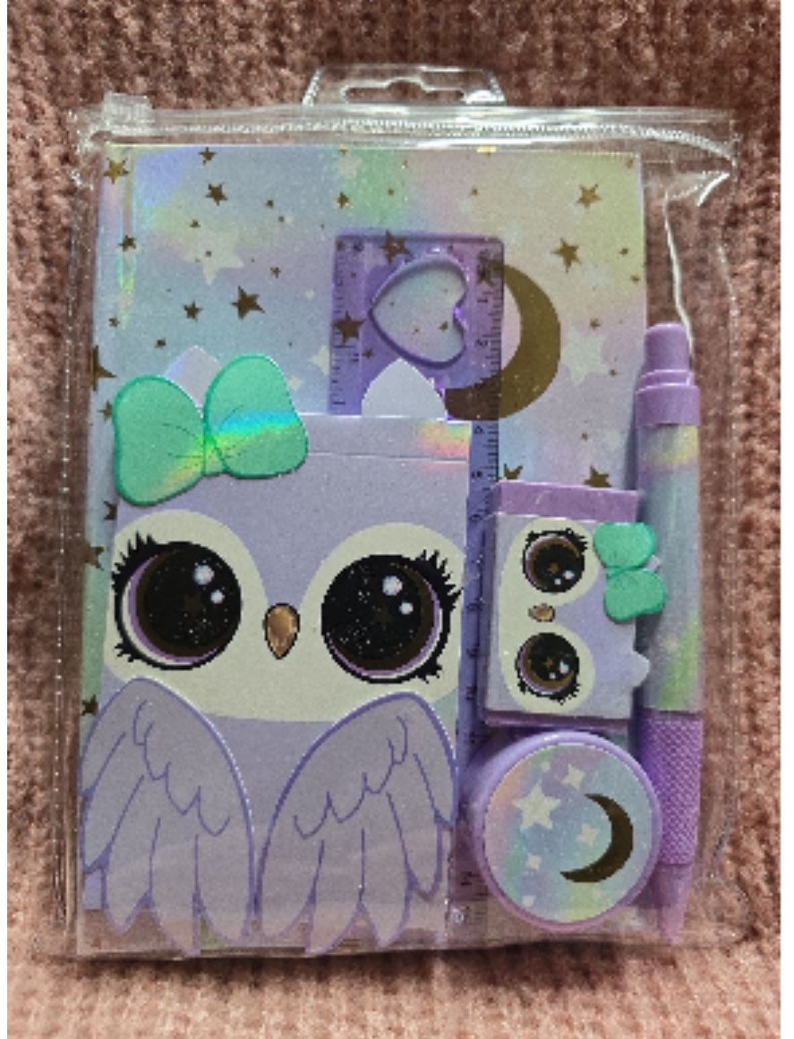 Owl Notebook With Accessories Inspiration For Writing