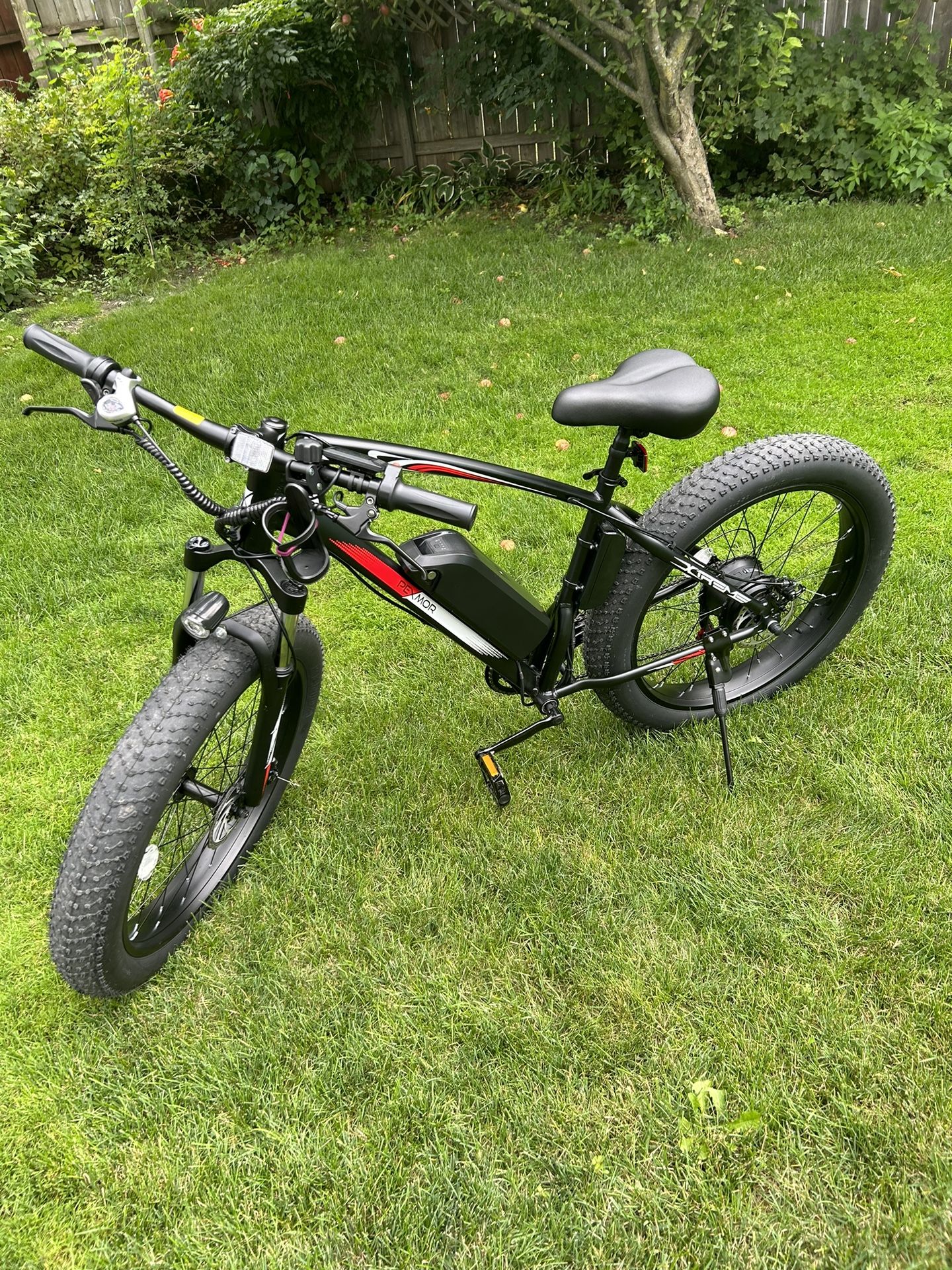 Electric Bike