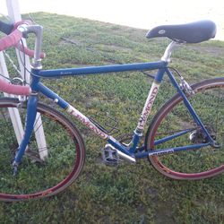 Lamond Zurich trek bike